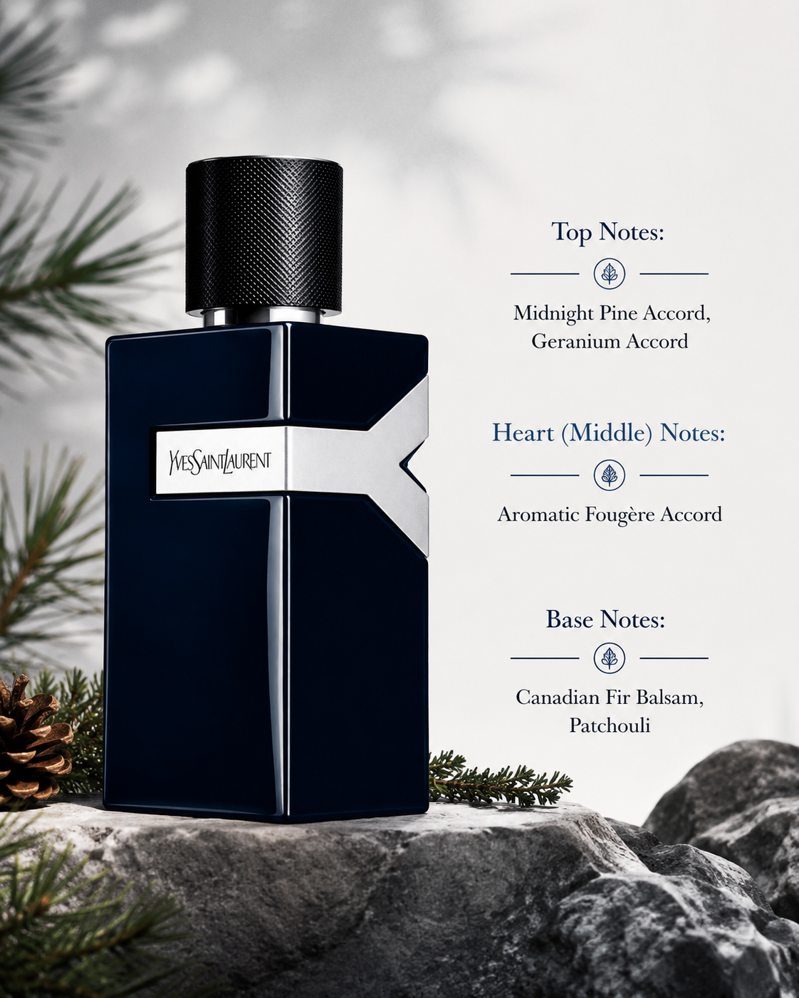 Yves Saint Laurent Y Le Parfum displayed with fragrance notes, surrounded by pine branches, fir, pinecones, rocks, and forest-inspired elements that emphasize its woody aromatic composition with midnight pine, aromatic fougère accords, Canadian fir balsam, and patchouli.